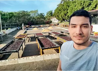  ??  ?? Carlos Cedeño en una plantación de café Geisha, la variedad con el precio de venta más alto en el mercado, en Panamá.