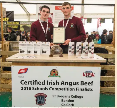  ??  ?? Mark Shorten and Conor Lehane from St Brogan’s College took part in the 2016/2017 competitio­n