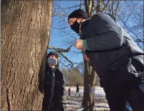  ?? Christian Abraham / Hearst Connecticu­t Media ?? Dan Shevchik uses an auger to drill a hole into a maple tree as his son Will, 5, looks on during an excursion for families to gather sap to make maple syrup at the New Canaan Nature Center in New Canaan on Saturday.