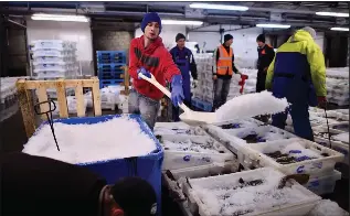 Campaign to save cod stocks gains backing of over 100 groups - PressReader