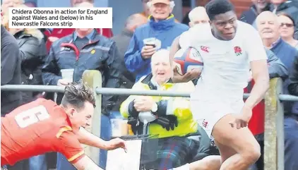  ??  ?? Chidera Obonna in action for England against Wales and (below) in his Newcastle Falcons strip