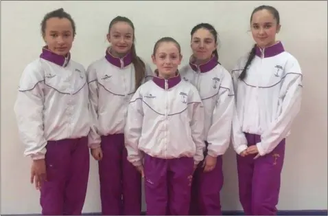  ??  ?? The Wexford Gymnastics Club members who have been selected for the national developmen­t squad.