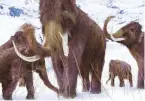  ?? ?? Woolly mammoths have been extinct for thousands of years, but now a biotech firm wants to bring them back
