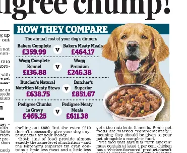 Annual cost of dog hot sale food