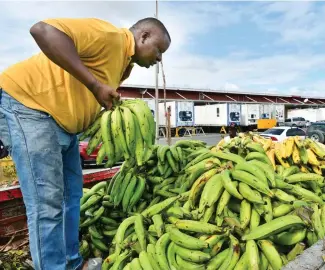  ?? F.E ?? Platanos verdes, pollo fresco,ajíes y papas figuran entre los que bajaron de precio.