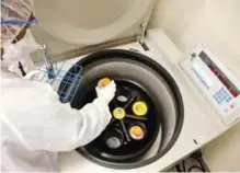  ??  ?? SEATTLE: In this photo taken March 29, 2017, cell production associate Herley Beyene places containers of immune cells in a centrifuge at the Fred Hutchinson Cancer Research Center. —AP