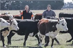  ?? CHRIS SKELTON/THE PRESS ?? The Boons manage a beef, sheep and cropping farm in Dunsandel, and both volunteer at the local fire station.