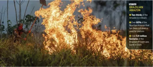  ??  ?? Top: rampant land clearance has been linked to the fires. Above: indigenous people protest in Rio de Janeiro. Right: Brazil’s President Bolsonaro.