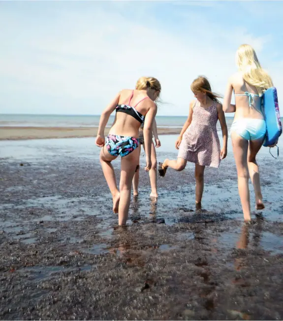  ??  ?? SKRÄMMER BADARE. Systrarna Hanna och Clara Gustafsson, Polly Nilsson och systrarna Emma och Elin Ryberg, säger att det aldrig varit så här illa innan och har ibland undvikit att bada i år på grund av tången.