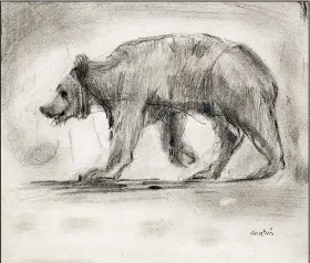  ?? Walking Bear Arkansas Arts Center Foundation Collection/GIFT OF NORMA B. MARIN ?? John Marin, a leading American modernist painter, did sketches of animals at the Central Park Zoo between 1903 and 1905. is one of a number of animal drawings in “Becoming John Marin: Modernist at Work” at the Arkansas Arts Center.