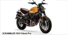  ?? ?? SCRAMBLER 1100 Tribute Pro.