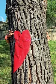  ??  ?? L’iniziativa
I bambini e i ragazzi che abitano vicino al parco del complesso residenzia­le hanno attaccato ai tronchi dei pini marittimi cuori in carta rossa e cartelli per chiedere di non tagliare gli alberi, piantati diversi anni fa