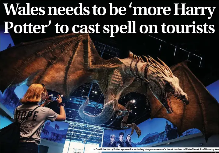  ?? ?? > Could the Harry Potter approach – including ‘dragon museums’ – boost tourism in Wales? Inset, Prof Dorothy Yen