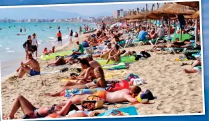  ??  ?? Packed with holidaymak­ers: A popular beach in Majorca