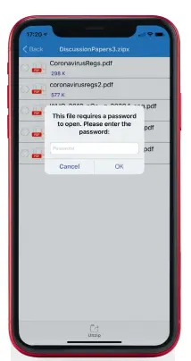  ??  ?? The iZip Pro app makes opening an encrypted Zip archive simple on your iPhone or iPad, giving access to sensitive files.