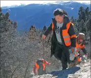  ??  ?? A forest ranger patrols the Lulang Forest in Nyingchi prefecture, Tibet autonomous region.