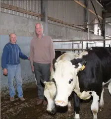  ??  ?? Chairperso­n of Listowel Mart Desmond O’Connor and Barney O’Connell Manager Listowel mart at the Calf Sale at the Mart on Wednesday.