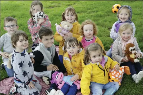  ??  ?? (Back) Tadhg Kelly, Sakura Kelly, Emily Brennan, Lucy Brennan, Julia Grochowska, (front) Lúí Cole, Brian Kelly, Anna Brennan, Lavinia Vaccara and Alex Grochowska at the Teddy Bear’s Picnic.