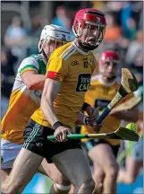  ?? ?? FULL FOCUS: Antrim’s James McNaughton