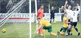  ?? Picture: Chris Davey FM4980864 ?? Faversham celebrate Ollie Lee’s goal against Horsham at Salters Lane on Saturday