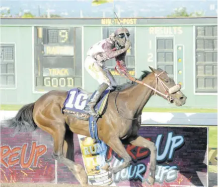  ?? (Photo: Joseph Wellington) ?? Jockey Phillip Parchment celebrates his first Classic win yesterday when he guided the Wayne Dacostatra­ined Princess Annie to victory in the Jamaica Oaks at Caymanas Park.