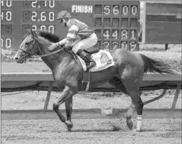  ?? BENOIT PHOTO ?? Jerry Hollendorf­er sent out $1.2 million buy Instagrand to a 10-length victory at Los Alamitos in his debut.