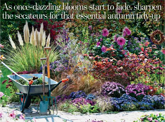  ?? ?? NEAT TRICK: Overhaulin­g beds and borders now, top, will keep them looking good through the winter