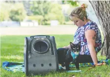  ?? FILES ?? A week into the pandemic, University of Calgary student Meagan Cloutier knew she needed a pet, and her adopted cat Leon goes with her even when she's hiking or camping.