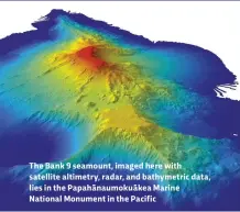  ??  ?? The Bank 9 seamount, imaged here with satellite altimetry, radar, and bathymetri­c data, lies in the Papahānaum­okuākea Marine National Monument in the Pacific