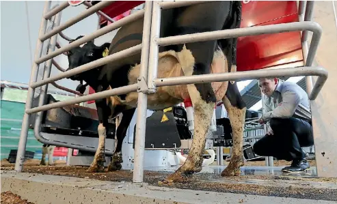  ??  ?? Sam Andersen demonstrat­es a robotic milker at the Lely stand, at the National Agricultur­al Fieldays in 2014.