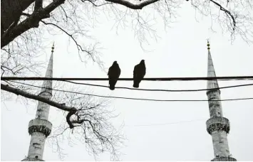  ??  ?? Zwischen zwei Minaretten in Istanbul: Tauben auf einer Stromleitu­ng.