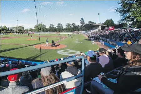  ??  ?? Royal Athletic Park will be quiet this summer as the COVID-19 pandemic will keep the HarbourCat­s from playing.