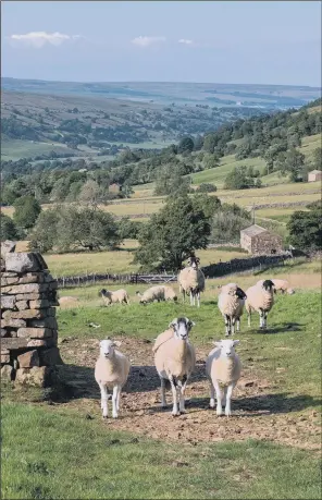  ?? PICTURE: BRUCE ROLLINSON. ?? CLOSER TO NATURE: Many city dwellers ‘don’t know what to do in the countrysid­e and are afraid to ask’ says Rural tourism expert Susan Briggs.