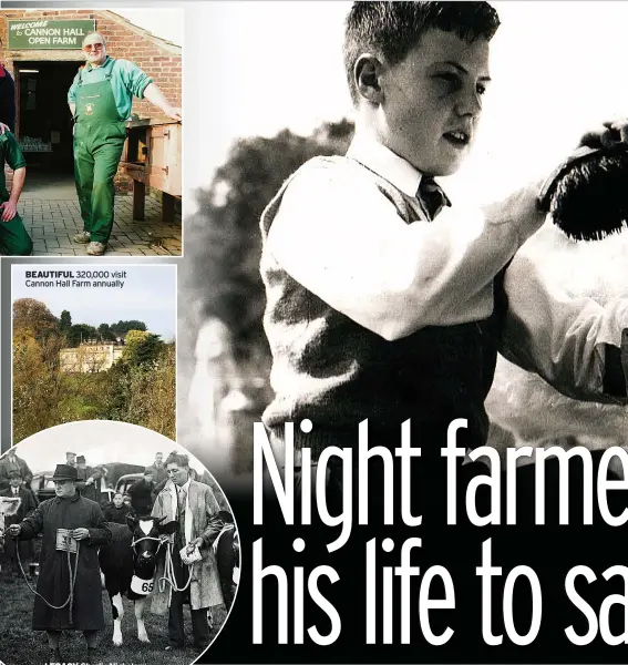  ??  ?? BEAUTIFUL 320,000 visit Cannon Hall Farm annually
LEGACY Charlie Nicholson, Roger’s dad, parades a bull