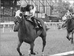  ?? JIM DULEY/MARYLAND JOCKEY CLUB ?? Somekindof­magician wins last year’s Find Stakes at Laurel.