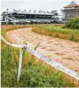  ?? Foto: Rumpenhors­t/dpa ?? Das Geländer der Frankfurte­r Galopp rennbahn, auf dem der neue Hauptsitz des Deutschen Fußball Bundes (DFB) entstehen soll.