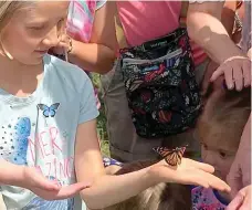  ?? Submitted photo ?? ■ Children were fascinated by the release of Monarch butterflie­s on June 4 at the Pollinator Garden on the Greenway Trail.