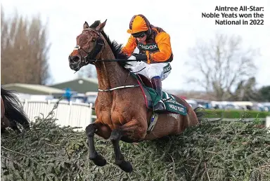  ?? ?? Aintree All-Star: Noble Yeats won the National in 2022