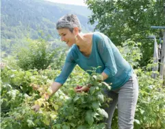  ??  ?? La théologien­ne fuit dès qu'elle le peut les trépidatio­ns de la vie urbaine pour se réfugier dans son chalet vosgien,conçu pour mener une vie en quasi-autarcie. Quitte à s’infliger des contrainte­s la rivant à la terre.