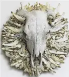  ??  ?? Life after death . . . The life of a steer is preserved in this artwork made from a matrix of bones, teeth and skulls from various animals.