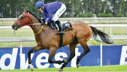  ?? Picture: JC Photograph­ics ?? IN-FORM. Paul Peter-trained March To Glory will attempt to register a second consecutiv­e success when he runs in Race 5 at Greyville on Sunday.