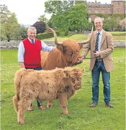  ?? Picture: Angus Findlay. ?? Next month’s Perth Show hosts the Simmental and Highland cattle national breed competitio­ns. Show chairman Peter Stewart and Perthshire Agricultur­al Society secretary Neil Forbes are seen with Highland cattle from the Thaggnam Herd owned by Alun Garton...