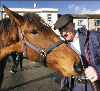  ?? Michael Healy Rae TD getting the inside track from Ballyreane­en Princess from Castlemain­e at Castleisla­nd Horse Fair on Thursday. Photo by John Reidy ??