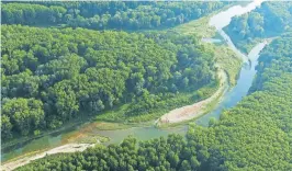  ?? [Kovacs] ?? Wilde Natur, wie die Donau-Auen, hat einen hohen volkswirts­chaftliche­n Wert.