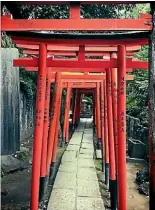  ?? SUPPLIED PHOTOS: ?? The torii gate at Nezu Shrine.