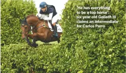  ??  ?? ‘He has everything to be a top horse’: six-year-old Goliath III claims an intermedia­te for Carlos Parro