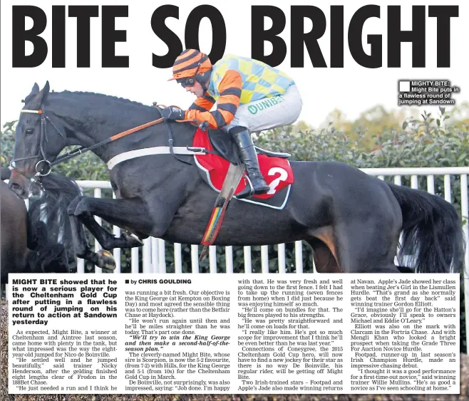  ??  ?? MIGHTY BITE: Might Bite puts in a flawless round of jumping at Sandown