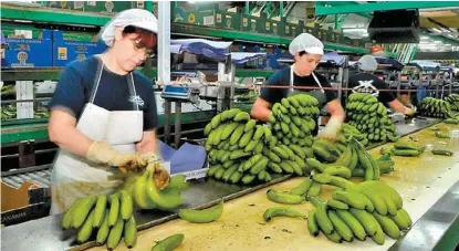  ?? ESPECIAL ?? El 30 por ciento de la producción nacional se genera en Chiapas.