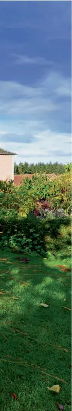  ??  ?? Left: The conservato­ry at Frostineb overlooks the garden. Top right: Scarlet acer foliage. Above (left to right): Pale yellow Kniphofia caulescens; white Phlox paniculata; autumn foliage on a Prunus.