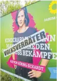 ?? FOTO: ANDY HEINRICH ?? Insgesamt drei Wahlplakat­e der Grünen haben Unbekannte in Kressbronn mit Schriftzüg­en überklebt.